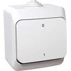 Schneider Electric „Cedar Plus“ ant paviršiaus montuojamas dvipolis jungiklis 16AX IP44 baltas WDE000520