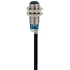 Schneider Electric indukcinis jutiklis XS6 M12 žalvarinis 12-48 VDC kabelis 2m - XS612B1PAL2
