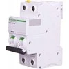 Schneider Electric IC60N- C25-2 C 25A 2- polių jungiklis (A9F04225)