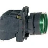 Schneider Electric Valdymo mygtukas 22mm žalias 1Z 1R su grįžimu su apšvietimu (XB5AW33B5)