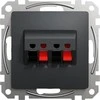 Schneider Electric Sedna Design 2x garsiakalbių lizdas antracitas SDD114411