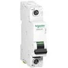 Schneider Electric Automatinis jungiklis C60H 1p 0,5 A, charakteristika C (A9N61500)