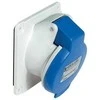 Schneider Electric Schneider Kištukinis lizdas 2P + Z 16A IP44 mėlyna PKF16F423