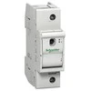 Schneider Electric Schneider Fuse disconnect 1P 63A D02 (MGN02163)