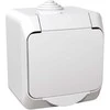 Kištukinis lizdas SCHNEIDER CEDAR PLUS, IP44