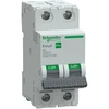 Schneider Automatinis jungiklis B 6A 2P Easy9 Pro (EZ9F27206)
