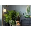 Schneidere Schneider Electric GN.SCHUKO Juodas ANTHRACITE SEDNA DES