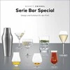 Schott Zwiesel schott BAR SPECIAL Whisky Tasting 218 ml (kpl. 4 vnt.)