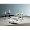 Schott Zwiesel Glass, 740 ml, Fortissimo