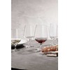 Schott Zwiesel Kieliszek Bistro Line 277 ml