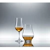 Schott Zwiesel Viskio degustacijos stiklinė, 322 ml, Bar Special