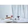 Schott Zwiesel Glass, 590 ml, Soft Drinks