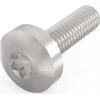 SCHROFF SCHROFF skersinis varžtas, Torx, GND funkcija, cinkuotas plienas, M4 14 mm, 100 vnt.