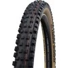 Schwalbe