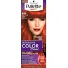 Schwarzkopf PALETTE INTENS CREME RV6-skaisčiai raudona