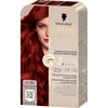 Schwarzkopf SCHWARZKOPF Creme Supreme plaukų dažai atspalvis 6-88 Intensive Raudona