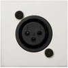 AUDAC WMI18/W sieninis modulis, XLR mikrofonas, baltas