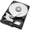 Seagate BarraCuda 6TB 3,5" SATA III diskas (ST6000DM003)