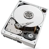 Dysk Seagate IRONWOLF PRO 10TB SATA 3.5IN
