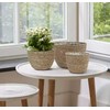 Ledų kibirėlis SECRET DE GOURMET 203209 21,5x20,5 cm