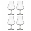 Secret De Gourmet Likerio stiklinės, 4 x 220 ml