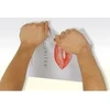 Securitex Vokai B4 HK RBD BALTOS (100)