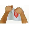 Securitex KOPERTY C4 HK BALTOS (100)