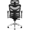 Ergonominė kėdė DIABLO V-COMMANDER, Juodos/ Pilkos spalvos