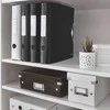 Segregatorius Leitz 180 ° Aktyvus Wow svirtis A4 52mm juoda (11070095)