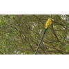 STANLEY SEKATORIUS ANT KOTO V20 SFMCPP632B