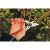 Sekator Felco 6 Classic nożycowy