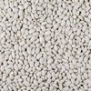Igłomska Dry Bean Seeds PNOS Vegetable Seeds, 50g Package