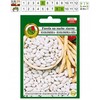 Igłomska Dry Bean Seeds PNOS Vegetable Seeds, 50g Package