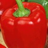 Jolanta Pepper PNOS Vegetable Seeds, 0.5g Package