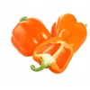 Etiuda Pepper PNOS Vegetable Seeds, 0.5g Pack