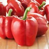 Ożarowska Pepper PNOS dengtos sėklos, 50 vnt. pakuotė