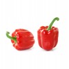 Sweet Pepper PNOS Seeds Mix, 0.6g Package