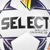 Select Optima TB V25 FIFA Basic Ball 120074 dydis 4