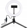 Dėlionė Puluz 1.1 m trikojo laikiklis + 10 colių 26 cm RGBW LED žiedo Vlogging Video Light Live PKT3044
