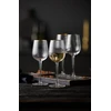 Selsey Vyno taurės Lyngby Glas Palermo Gold