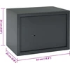 SentrySafe Seifo dėžė su užraktu Tamsiai pilka 35 x 25 x 25 cm Plienas