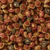 Sera Koi All Seasons Probiotic 7kg – specialus maistas