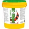 Sera Koi All Seasons Probiotic 7kg – specialus maistas
