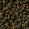 Sera Koi Color Large 21 l, granulės - pagrindinis Koi maistas