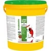 Sera Koi Junior All Seasons Probiotic 7kg – specialus maistas