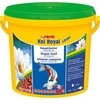 Sera KOI ROYAL LARGE kibirėlis 3800 ml
