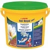 Sera KOI ROYAL MINI BACKET sūris 3800 ml