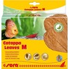 SERA Catappa lapai M 18 cm