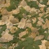 Sera Vipan Nature Large Flakes 21 l, dideli dribsniai - aukščiausios kokybės maistas