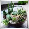Mondex Serenite Lumarko Lumarko Vase 10xh25cm Oblique!